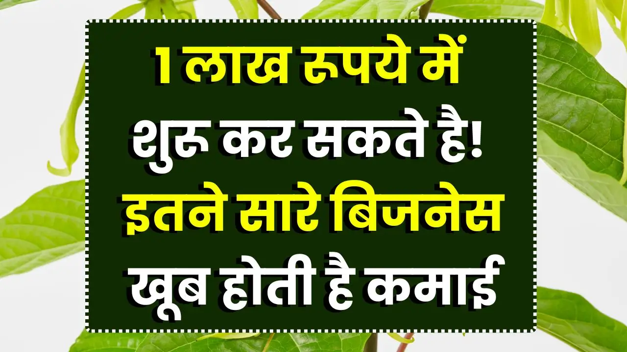 1-lakh-mein-business-ideas-income