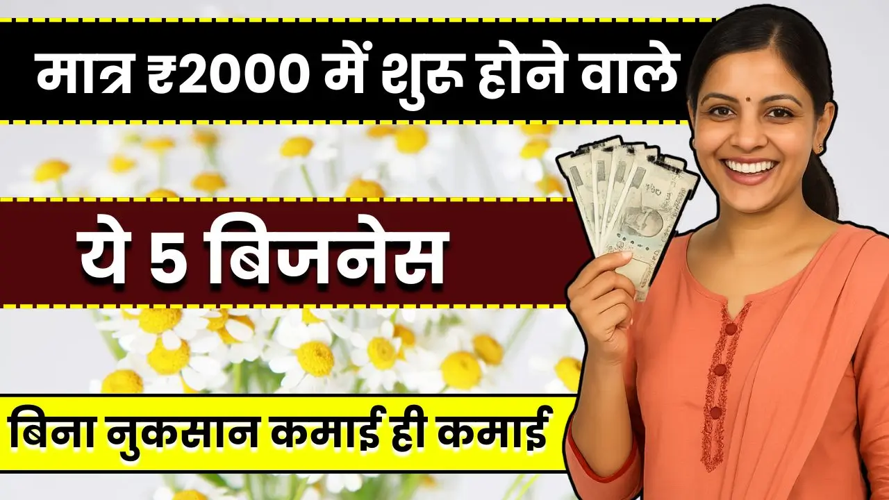 2000-me-shuru-5-business-idea