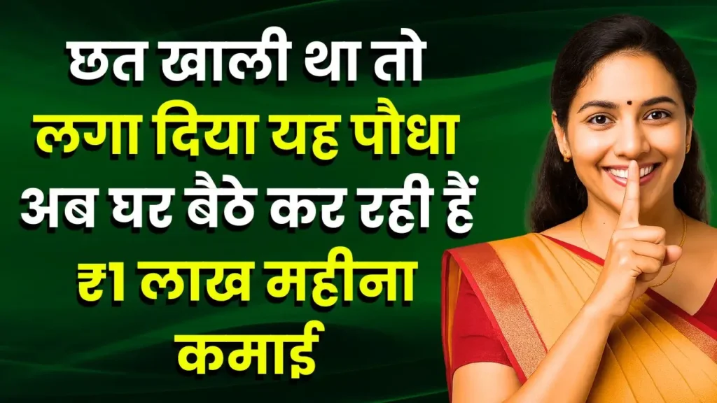 business-idea-chhat-par-paudha-se-1-lakh-kamai