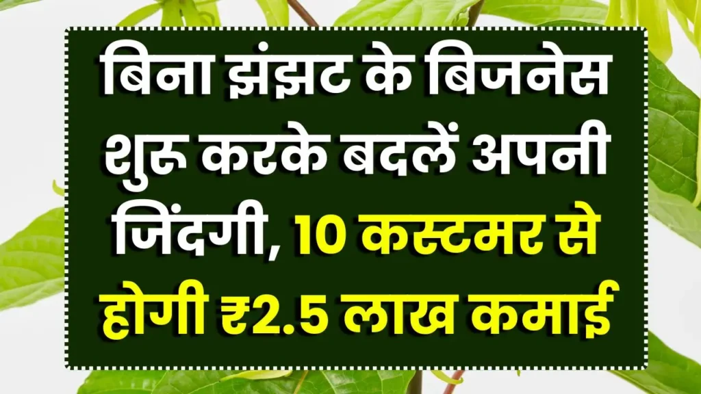 business-idea-digital-service-agency-2-5-lakh-income