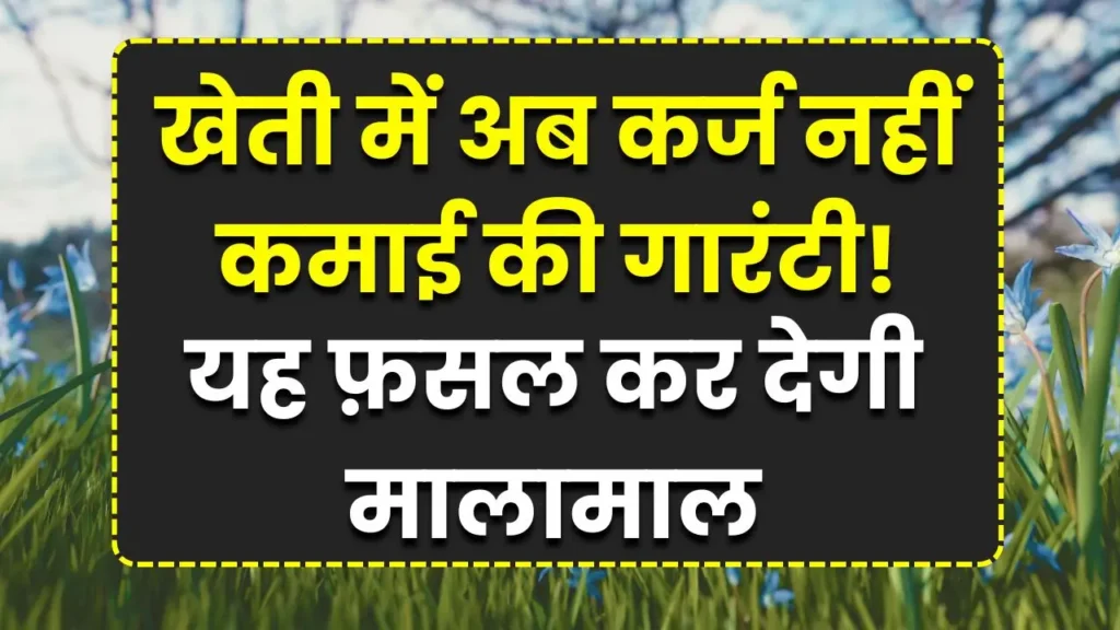 kheti-me-karza-ye-fasal-malamal-agri-business