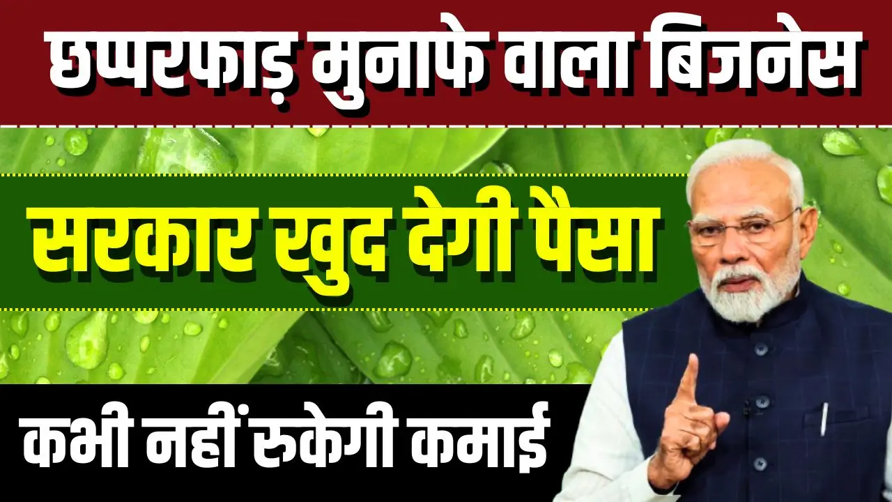 madhu-makhi-palan-business-idea-income-government-subsidy
