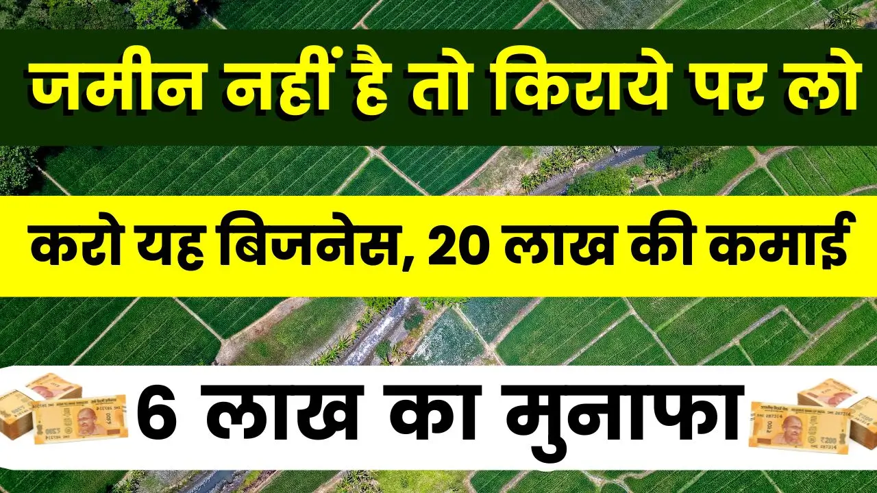 mushroom-farming-on-rent-business-idea-earn-16-lakh-profit
