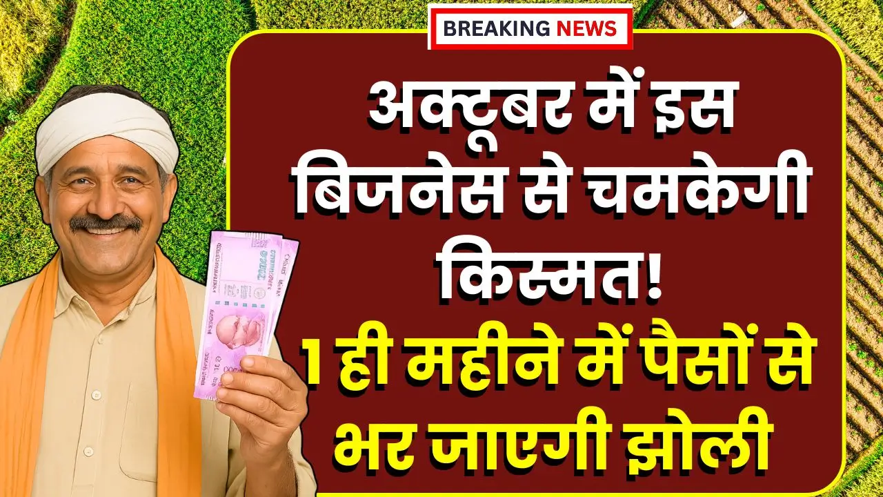 october-business-idea-se-paise-kamaye